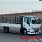 دانه دينا اسيزو