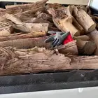 تقطيع حطب والأشجار