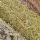 خضير أبيض فاخر