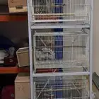 استاندات واقفاص 600