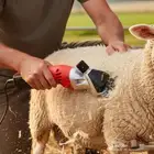 للبيع 5 حبات من ماكينة حلاقة وقص شعر الحيوانات والحلال