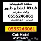 فندقة قطط - مشاهدة التقييمات - 6061 24 0555 الرياض
