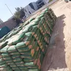 اسمنت وبطحه