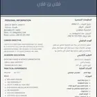 تصميم وكتابة سيرة ذاتية احترافية