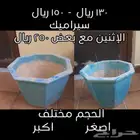 مراكن زرع ( أحواض زرع )