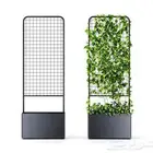 مؤسسة زهرة الخليج الزراعية -نجران -دحضة