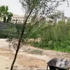 مشتل زراعي