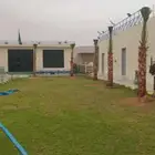 يوجد لدينا نخل واشنطن اللبيع بجميع المقاسات