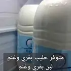 الرياض حي الشفا حليب البقر اللتر 7 ريال حليب الغنم 10 ري