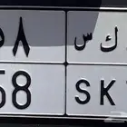 للبيع لوحه ميزه ثنائيه