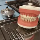 شرح مواد تخصص الأسنان