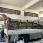 سعف نخل