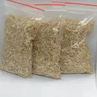 بذور رغل ملحي يتحمل العطش وملوحة الماء العالية