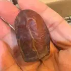 تمر ونانه