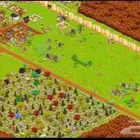 مزارع هاي داي