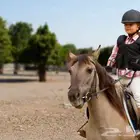 أجار بوايك خيل إسطبل المسيرة حي الصالحية