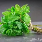 معناع المدينه البيع بالجمله