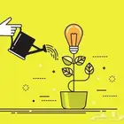 مشاريع واستثمارات