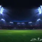 ملعب كوره قدم ( مستثمر )