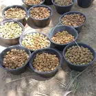 عمال خرافين بصطل