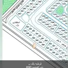 قرطبة عرعر