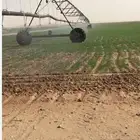 مزرعة للإيجار ساجر و ماحولها
