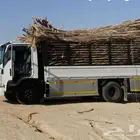 عسيب عسبان جريد نخل