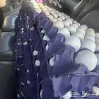 بيض بلدي بيض فيومي مخصب وغير مخصب