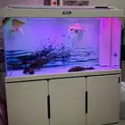 حوض اسماك زينه