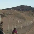 جميع أعمال الشبوك والنخيل