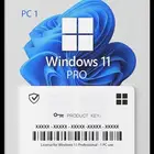 تشنيط ويندوز 11-10 pro با 6 ريال فقط home 10 ريال
