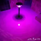 زينه ممرات وحدائق بالطاقه الشمسيه