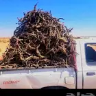 جروم وقيعان جزله