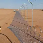 نخل فسايل وشتلات وتركيب الشبوك المزارع