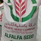 موجود عندي برسيم 101