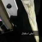 طير كروان مفقود ضاع في حي مشرف عند الحراج