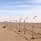 جمع الشبوك