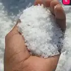 ملح بحري جمله وتفريد