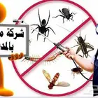شركة مكافحة الحشرات بالمدينة المنورة