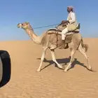 رحول عمانية طوع للبيع