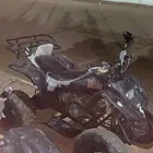 دباب سويدي للبيع