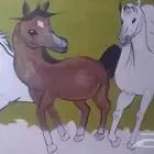خطاط ورسام سور مدارس  حدائق  جامعات