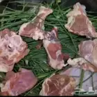 مرخ طازج للبيع