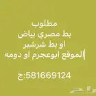 بططط