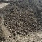 سماد بياض لاحم بقري