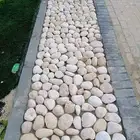 شبكات الري بالتنقيط