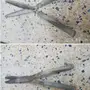 محش مشذب قديم 