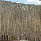 خيزران حصير