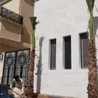 نخيل