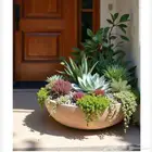 احواض زرع اسمنتية الاحساء